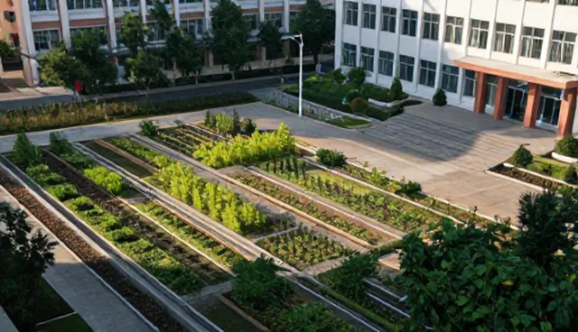农资采购服务如何适应不同种植技术指导需求